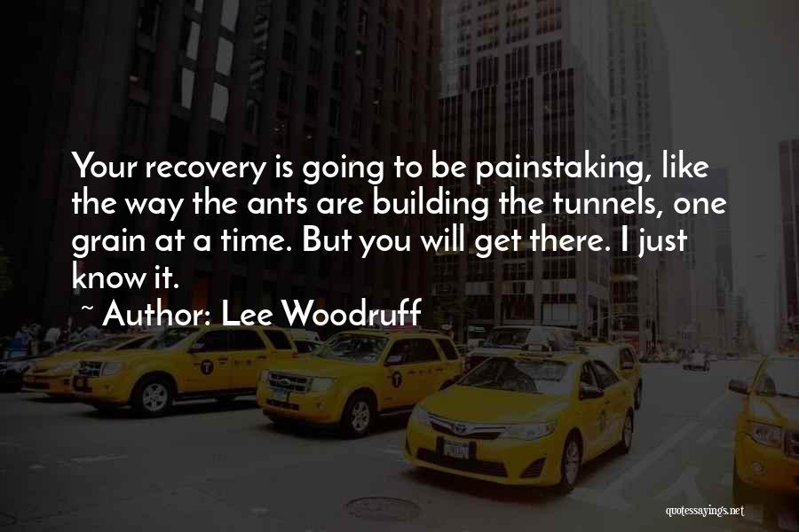 Woodruff Quotes By Lee Woodruff