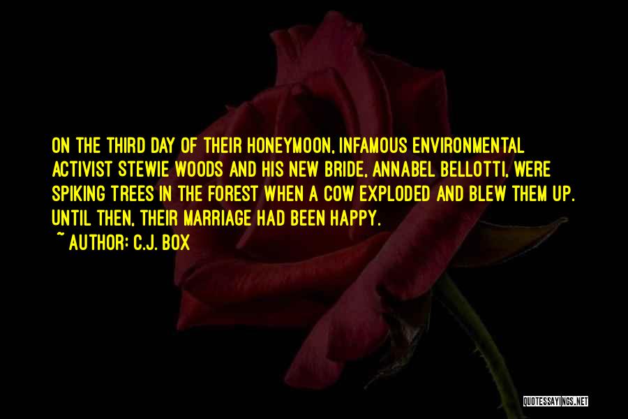 Woods And Trees Quotes By C.J. Box