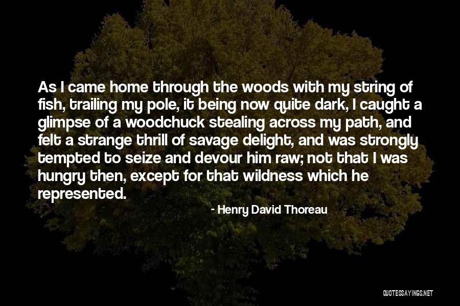 Woods Thoreau Quotes By Henry David Thoreau Woods Thoreau Quotes By Henry David Thoreau