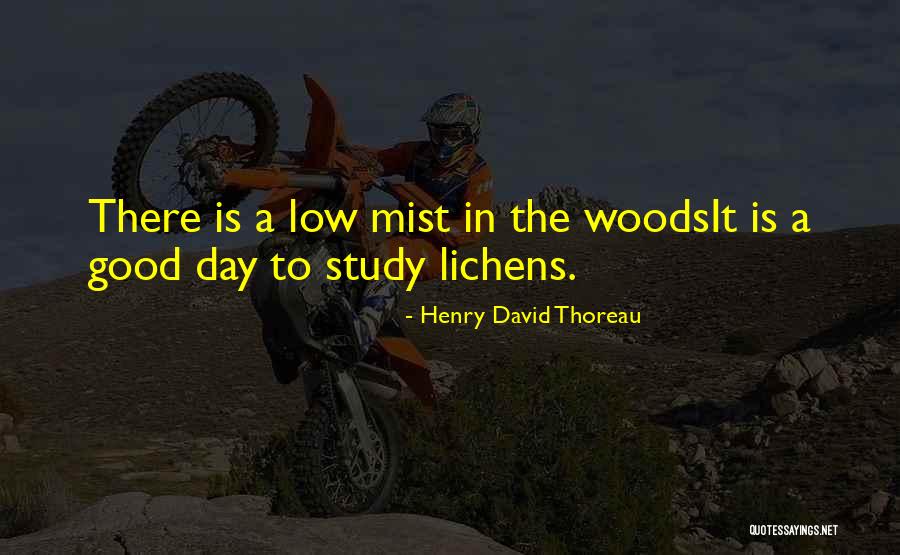 Woods Thoreau Quotes By Henry David Thoreau Woods Thoreau Quotes By Henry David Thoreau