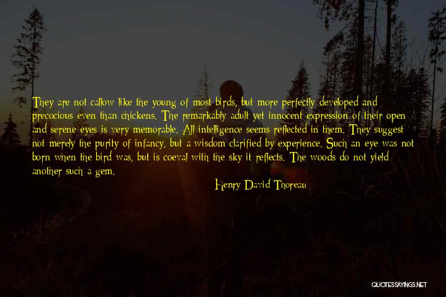 Woods Thoreau Quotes By Henry David Thoreau Woods Thoreau Quotes By Henry David Thoreau