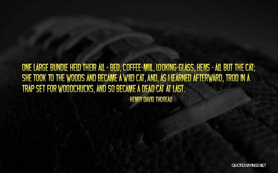 Woods Thoreau Quotes By Henry David Thoreau Woods Thoreau Quotes By Henry David Thoreau
