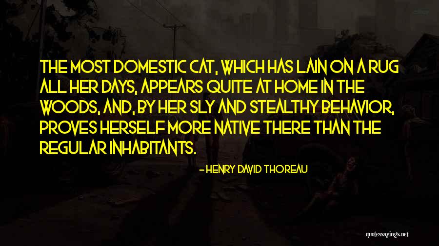 Woods Thoreau Quotes By Henry David Thoreau Woods Thoreau Quotes By Henry David Thoreau
