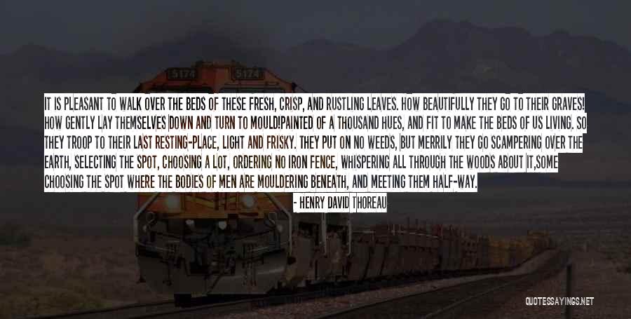 Woods Thoreau Quotes By Henry David Thoreau Woods Thoreau Quotes By Henry David Thoreau