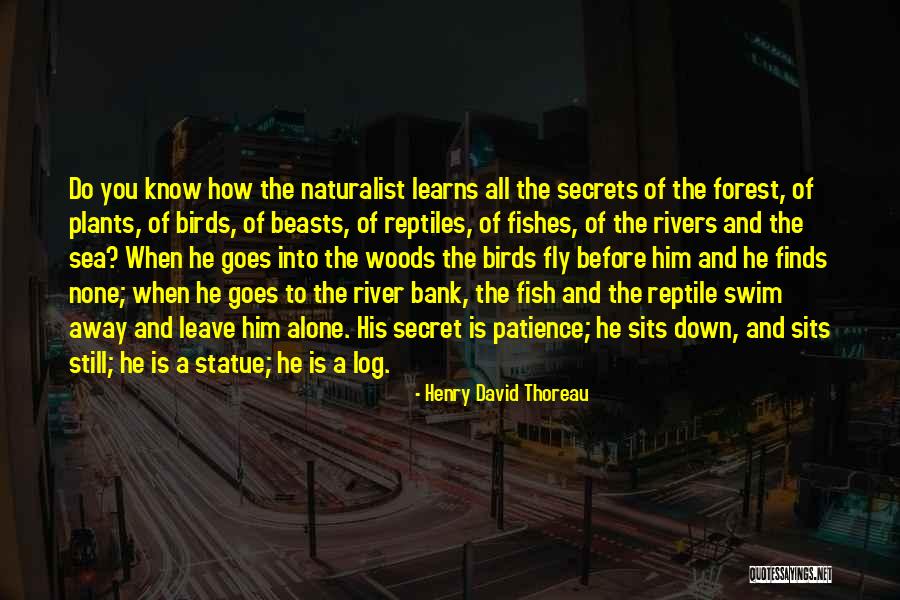 Woods Thoreau Quotes By Henry David Thoreau Woods Thoreau Quotes By Henry David Thoreau