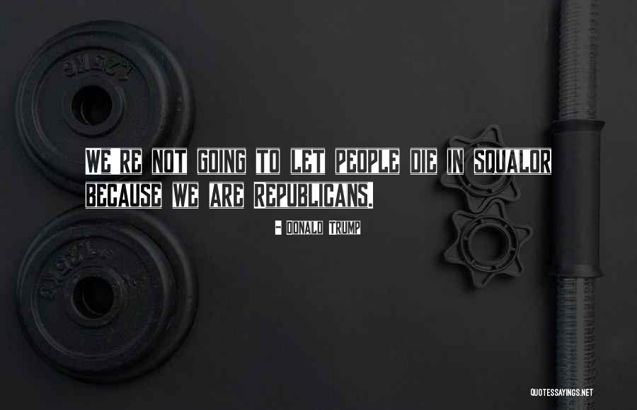 Woodshadows Quotes By Donald Trump Woodshadows Quotes By Donald Trump