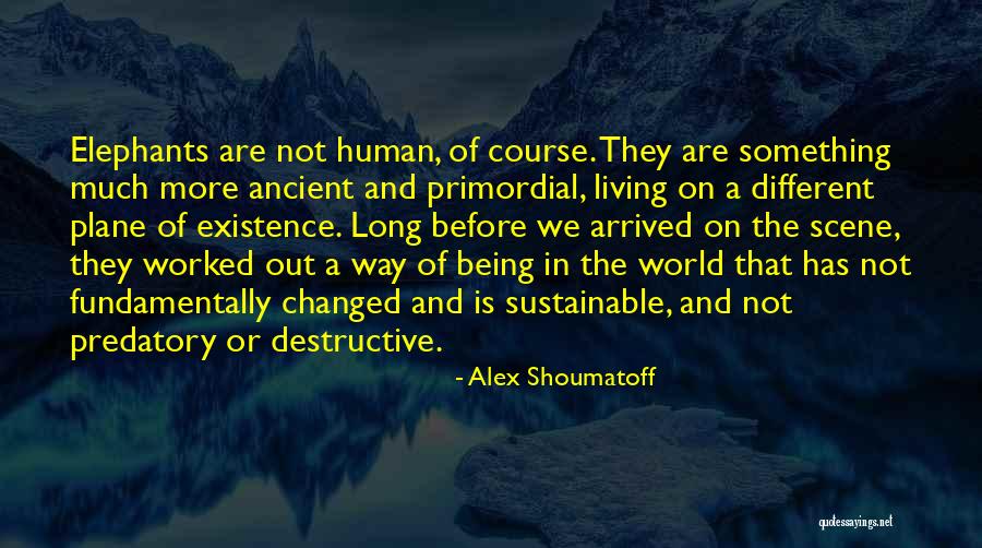 Woodsmall Cindy Quotes By Alex Shoumatoff Woodsmall Cindy Quotes By Alex Shoumatoff