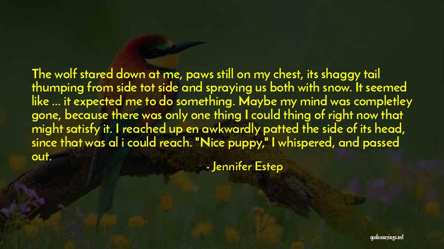Woodsons Quotes By Jennifer Estep Woodsons Quotes By Jennifer Estep