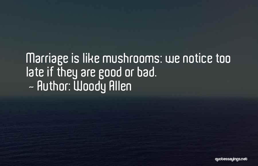 Woody Allen Quotes 2176669
