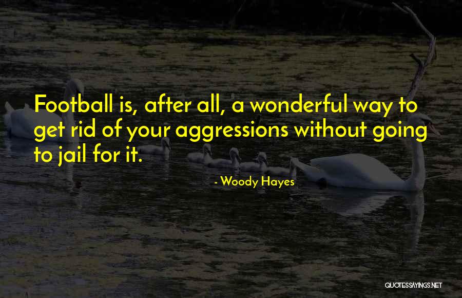 Woody Hayes Quotes 1024737