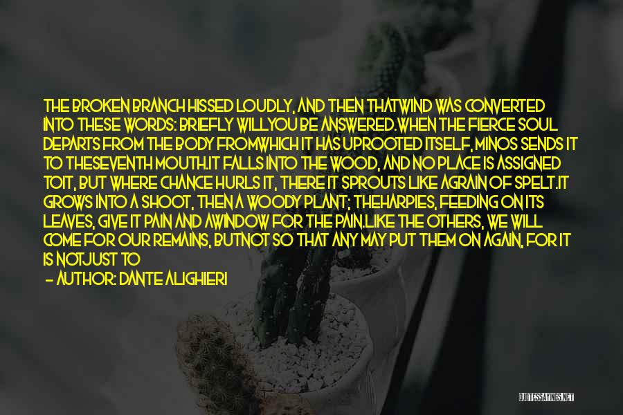 Woody Wood Quotes By Dante Alighieri