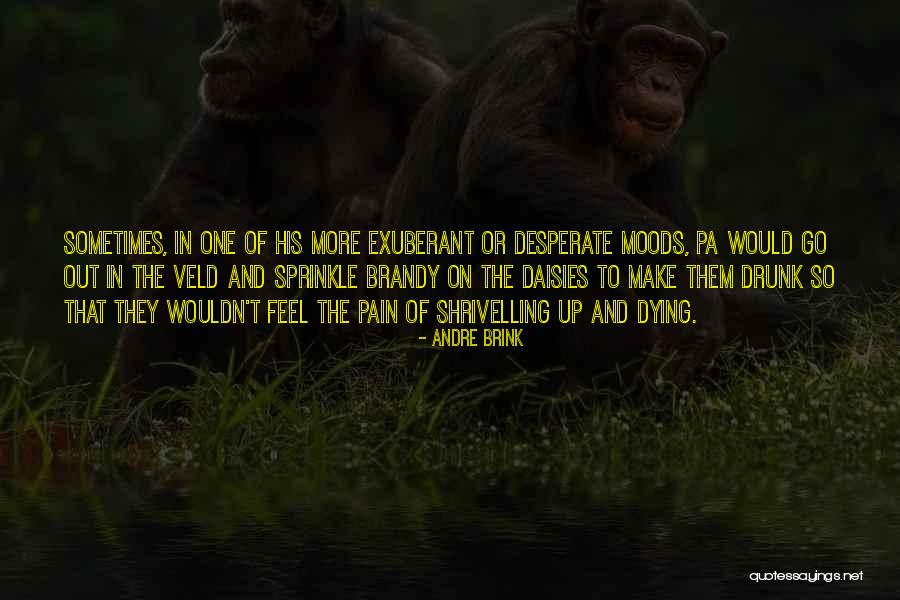 Woodyatt Ready Quotes By Andre Brink Woodyatt Ready Quotes By Andre Brink