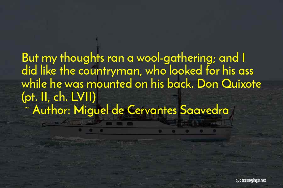 Wool Gathering Quotes By Miguel De Cervantes Saavedra