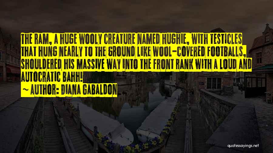 Wool Quotes By Diana Gabaldon
