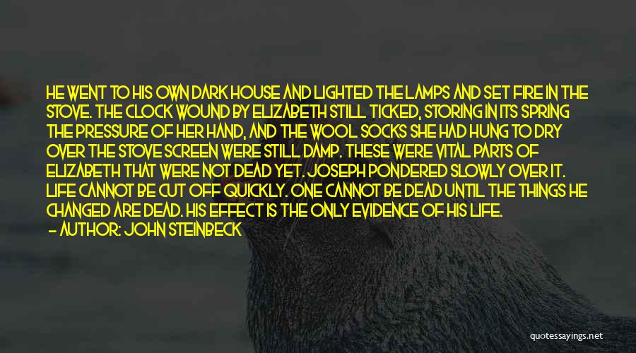 Wool Socks Quotes By John Steinbeck