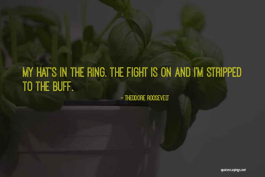 Woolbert Plano Quotes By Theodore Roosevelt Woolbert Plano Quotes By Theodore Roosevelt
