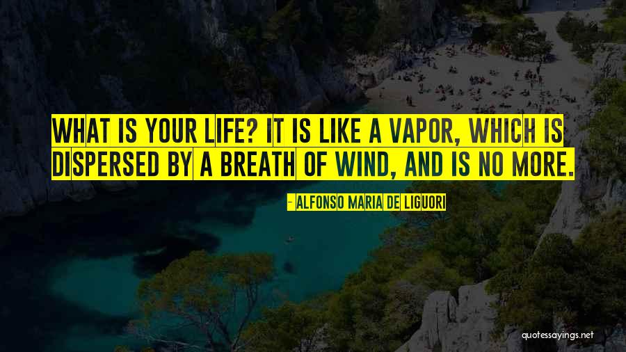 Wooldoor Sockbat Quotes By Alfonso Maria De Liguori Wooldoor Sockbat Quotes By Alfonso Maria De Liguori