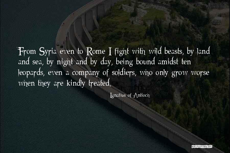 Woolies Quotes By Ignatius Of Antioch Woolies Quotes By Ignatius Of Antioch