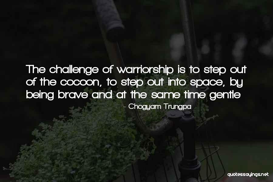 Woolite Delicates Quotes By Chogyam Trungpa Woolite Delicates Quotes By Chogyam Trungpa