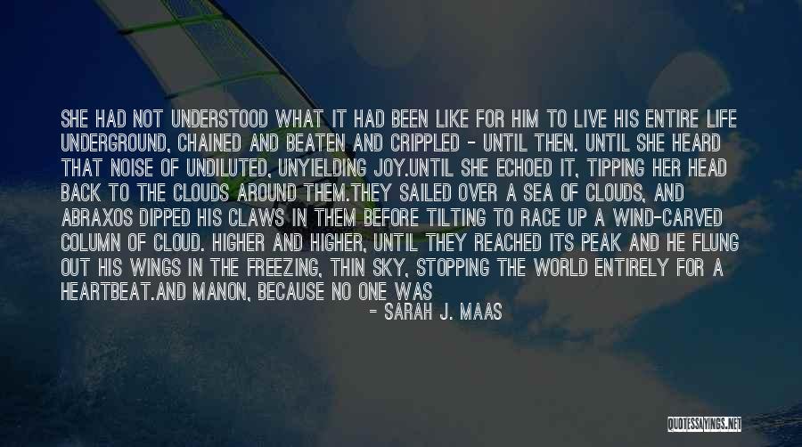 Woollett Ian Quotes By Sarah J. Maas