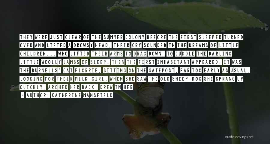 Woolly Quotes By Katherine Mansfield Woolly Quotes By Katherine Mansfield