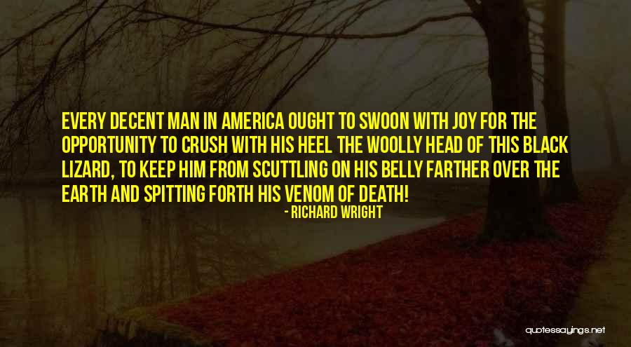 Woolly Quotes By Richard Wright