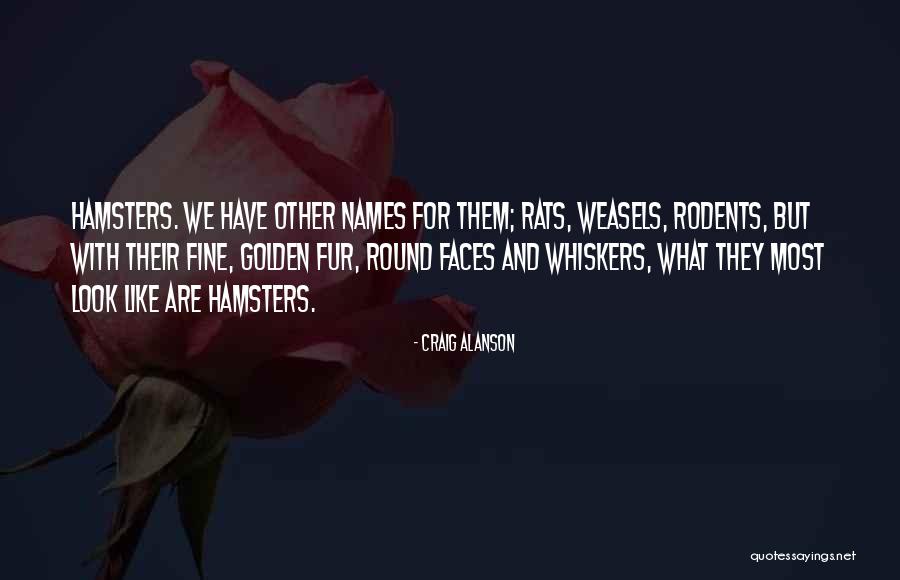 Woorden Doen Pijn Quotes By Craig Alanson Woorden Doen Pijn Quotes By Craig Alanson