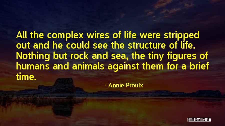 Wootten Hero Quotes By Annie Proulx Wootten Hero Quotes By Annie Proulx