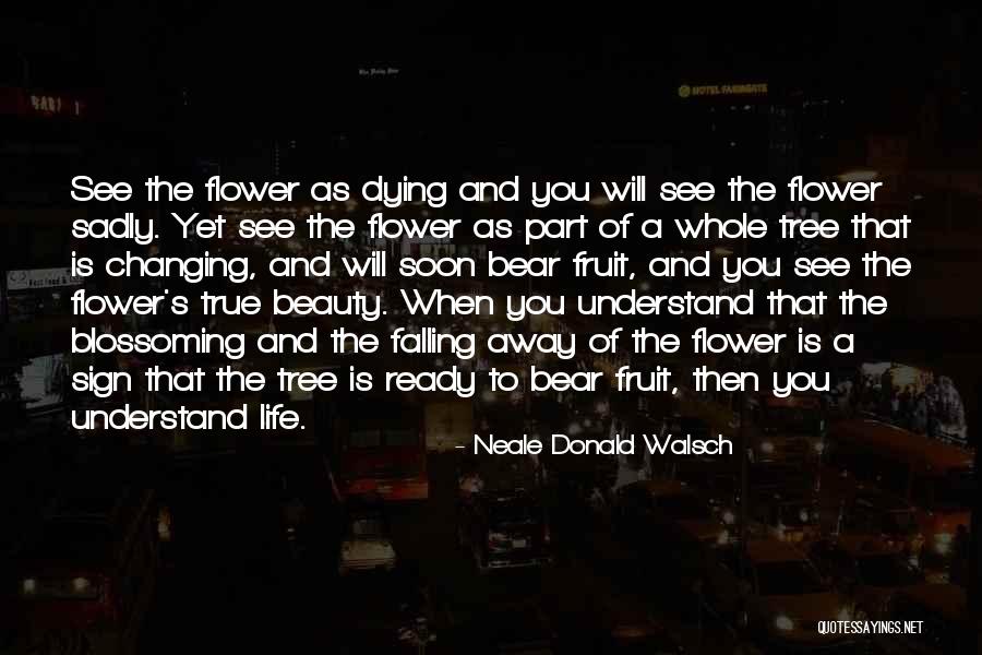 Worch Lumber Quotes By Neale Donald Walsch Worch Lumber Quotes By Neale Donald Walsch