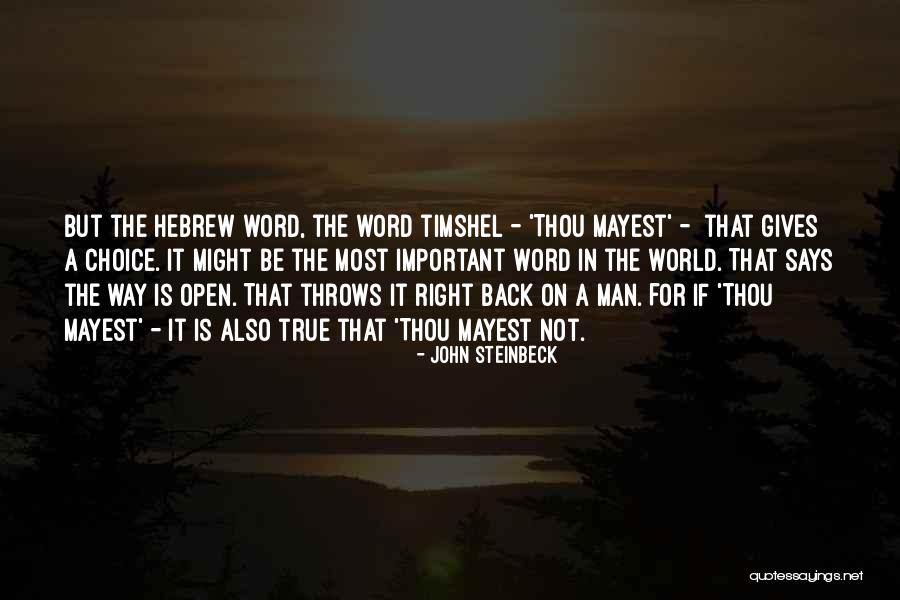 Word Choice Quotes By John Steinbeck Word Choice Quotes By John Steinbeck