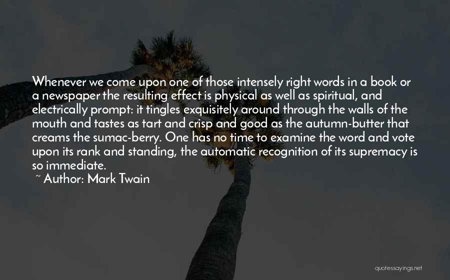 Word To The Wall Quotes By Mark Twain