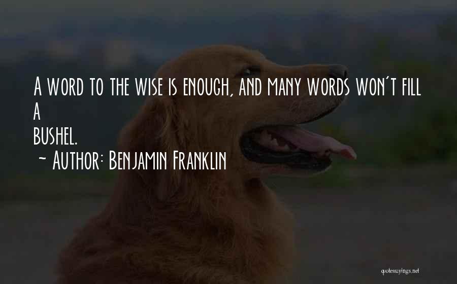 Word To Wise Quotes By Benjamin Franklin