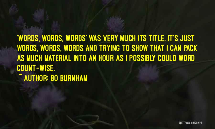 Word To Wise Quotes By Bo Burnham