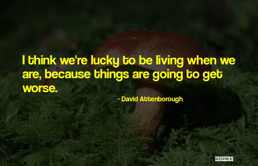 Wordbeautiful Quotes By David Attenborough Wordbeautiful Quotes By David Attenborough