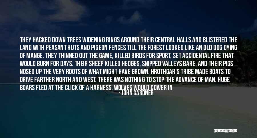 Wordless Quotes By John Gardner Wordless Quotes By John Gardner