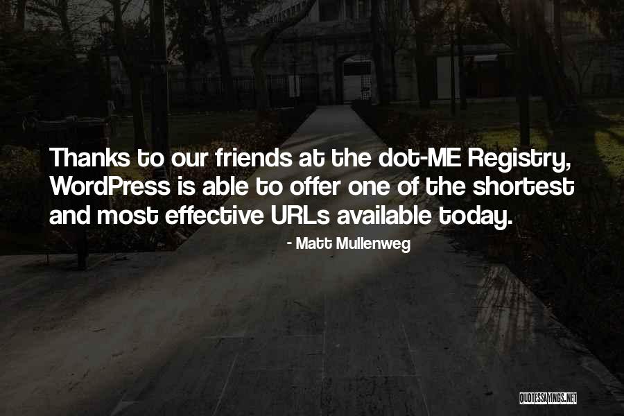 Wordpress Quotes By Matt Mullenweg