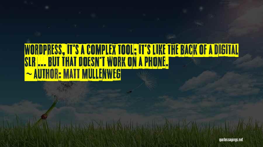 Wordpress Quotes By Matt Mullenweg