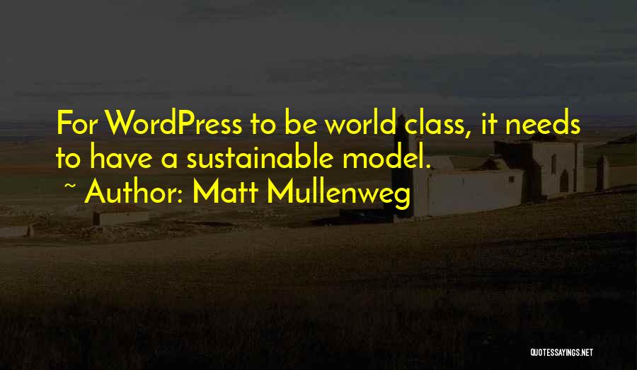 Wordpress Quotes By Matt Mullenweg