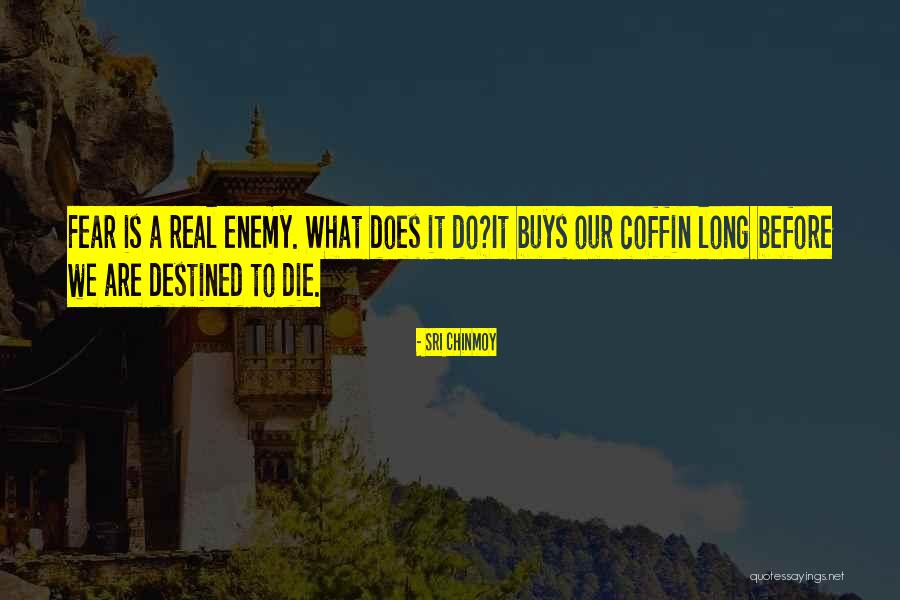 Wordpress Seo Plugin Quotes By Sri Chinmoy Wordpress Seo Plugin Quotes By Sri Chinmoy