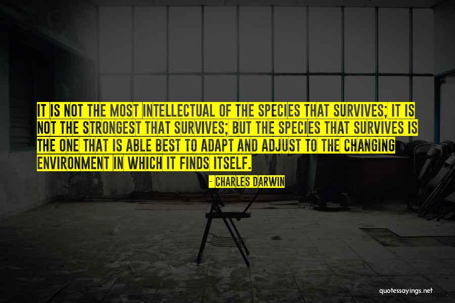 Wordpress Shortcode Escape Quotes By Charles Darwin Wordpress Shortcode Escape Quotes By Charles Darwin