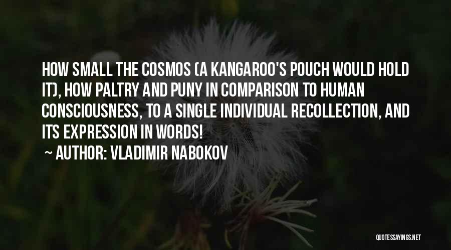 Words And Expression Quotes By Vladimir Nabokov