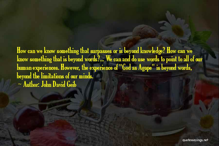 Words And Knowledge Quotes By John David Geib