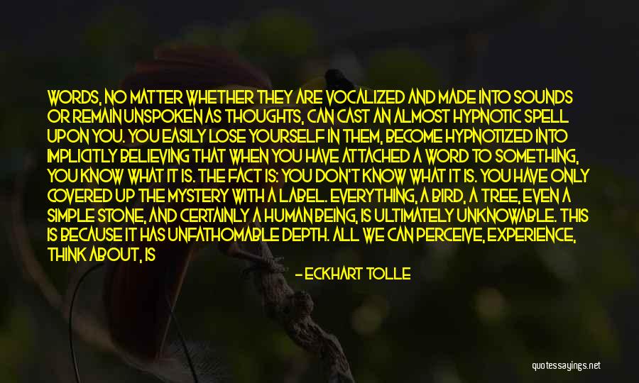 Words Become Reality Quotes By Eckhart Tolle Words Become Reality Quotes By Eckhart Tolle