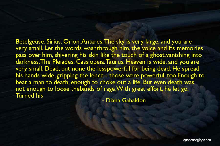 Words Being Powerful Quotes By Diana Gabaldon Words Being Powerful Quotes By Diana Gabaldon