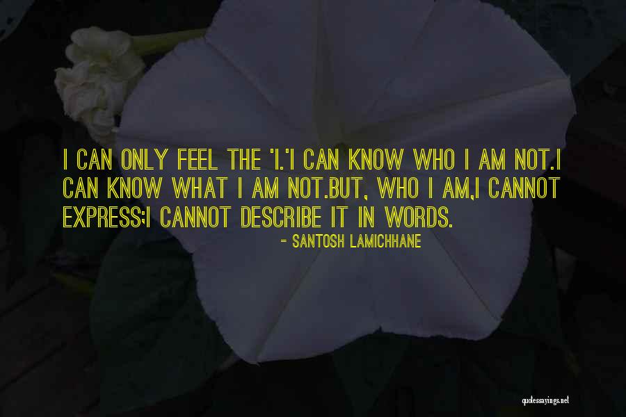 Words Cannot Describe How I Feel Quotes By Santosh Lamichhane