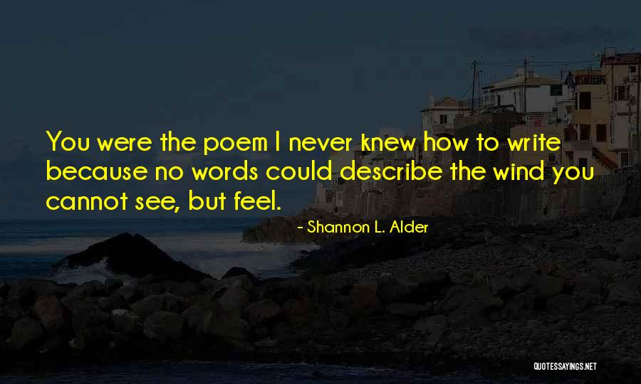 Words Cannot Describe How I Feel Quotes By Shannon L. Alder