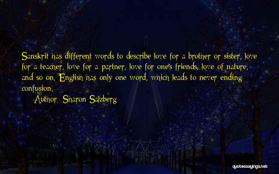 Words Can't Describe How Much I Love You Quotes By Sharon Salzberg