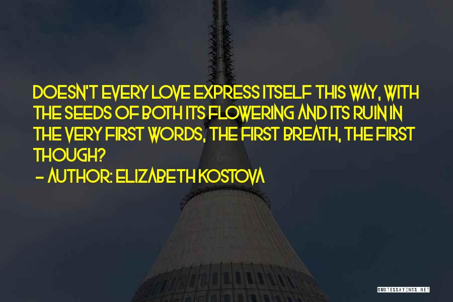 Words Can't Express Love Quotes By Elizabeth Kostova