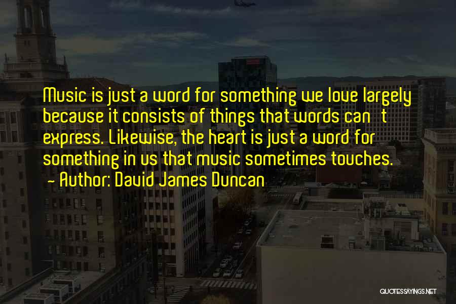 Words Can't Express My Love Quotes By David James Duncan