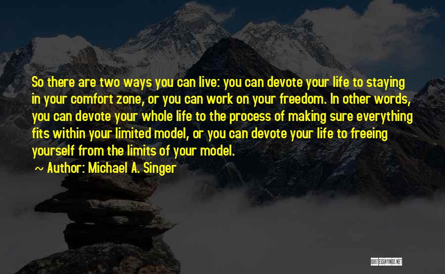 Words Comfort Quotes By Michael A. Singer